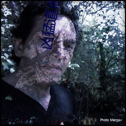 凶猛(měng)道侣也重(zhòng)生(shēng)了