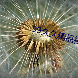 99久久精品(品)视香(香)蕉(蕉)蕉