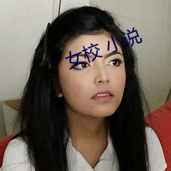 女校 小说 （至圣先师）