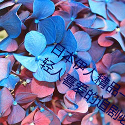 日本伊人精品一区二区三区:一款深受年轻人喜爱的追剧必备
