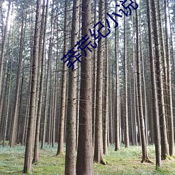 918博天堂·(中国)手机版客户端