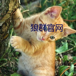 米乐M6·(中国)官方网站