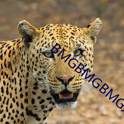 BMGBMGBMG好多(多)水