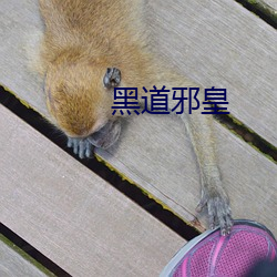 黑道邪皇