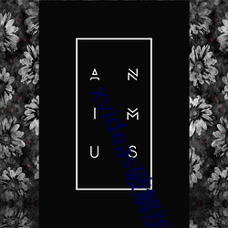 xvideas破解版