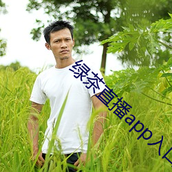 绿茶直播app入口