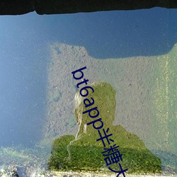 bt6app半糖(糖)大秀