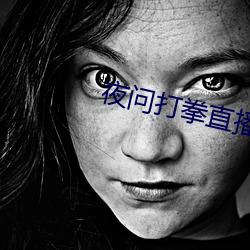 夜问打(打)拳(拳)直播