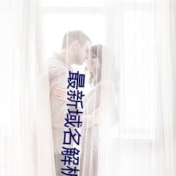 最(zu)新域名解析
