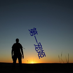 第一寵姬