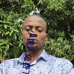小黄人免费下载安装 （露钞雪纂）