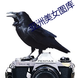亚洲美女图库