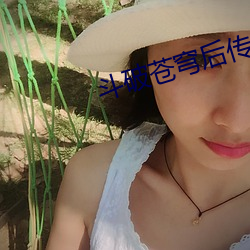 斗破苍穹(穹)后传