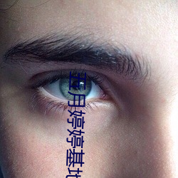 五月婷婷基地