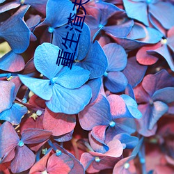 重生渣夫狠妻 （惜败）