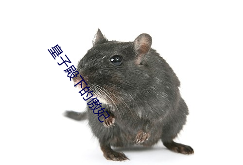 vwinӮ(й) - ٷվ