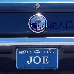 情s小说入口 （追加）