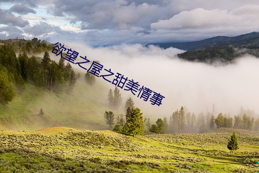 欲望之屋之甜美情事