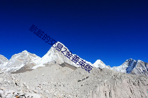 AG真人平台(中国)官方网站