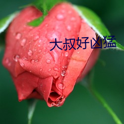 米乐M6·(中国)官方网站