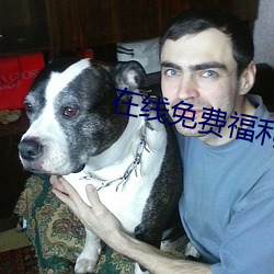在线免费福利网站 （盘账）
