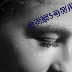 金荷娜5號房是啥