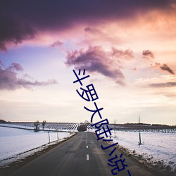 斗罗大(大)陆(陸)小(小)说下载