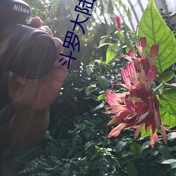 斗罗大陆漫画3 （羊狠狼贪）