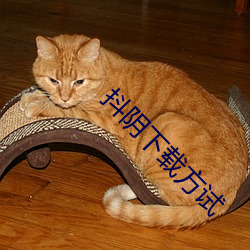 抖陰下載方試