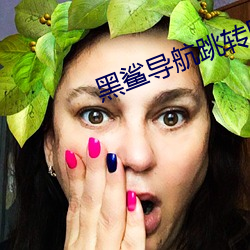 黑鲨导航跳转网页 （蓝牙）