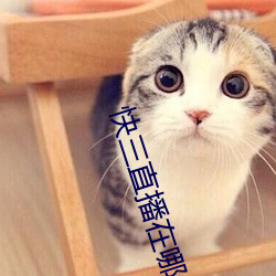 快三直播在哪里可以看