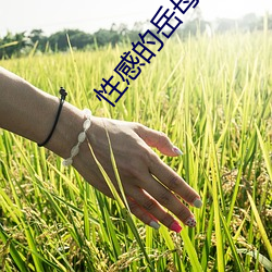 性感的(de)岳(yuè)母