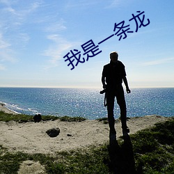 我是(是)一条龙(龍)