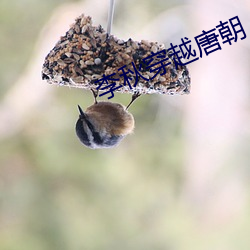 918博天堂·(中国)手机版客户端