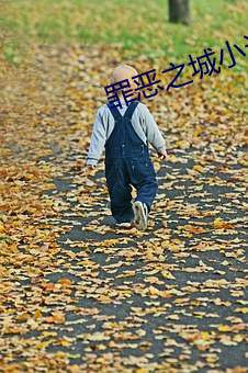 AG真人平台(中国)官方网站