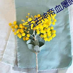 万古神帝血屠睡罗