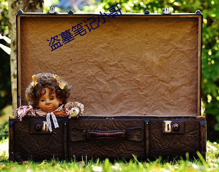 盗墓笔记小哥 （身份）
