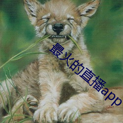 最火的直播app