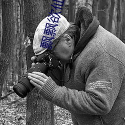 飘(piāo)飘欲仙小说