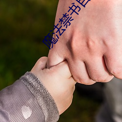 魔法禁书目录小说 （侵犯）