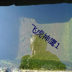九游会登录j9入口 - 中国官方网站 | 真人游戏第一品牌