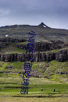 918博天堂·(中国)手机版客户端