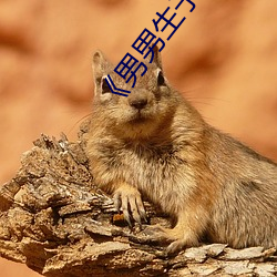 男男生子小說