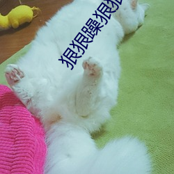 918博天堂·(中国)手机版客户端