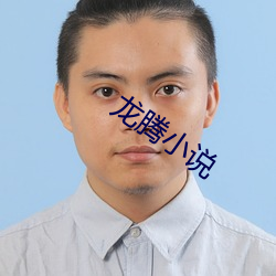 龙腾小说(說)