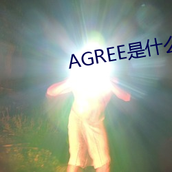 AGREE是什么意思