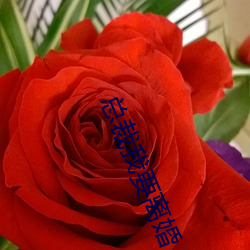 總裁我要離婚
