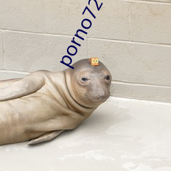 porno720hd