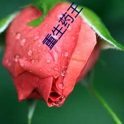 重生药王