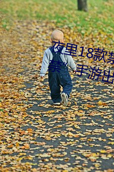 夜里18款禁用游戏手游(首款“18禁”手游出现!未成年不得入 三天打鱼，两天晒网